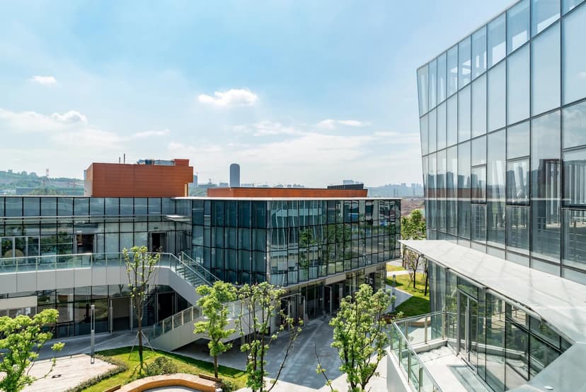 Indian Multinational Company